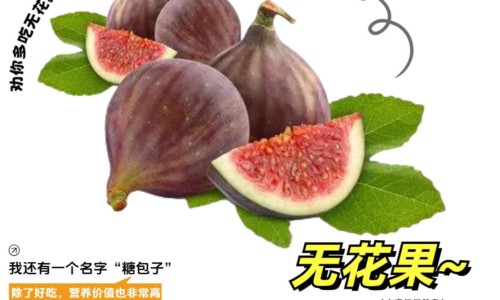 桑拿鸡的吃法网 :分享桑拿鸡怎么吃-桑拿鸡吃法图片大全知识